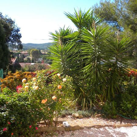 Ecrin De Verdure Sur Le Lavandou - Classement Tourisme 3 Etoiles Exteriér fotografie