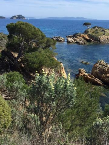Ecrin De Verdure Sur Le Lavandou - Classement Tourisme 3 Etoiles Exteriér fotografie